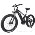 Design unico Design Fat Tire Mountain Bicycle